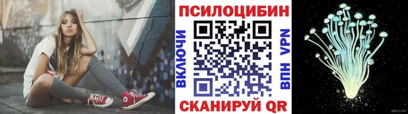 Купить где  Наволоки  Псилоцибиновые грибы ЛСД 